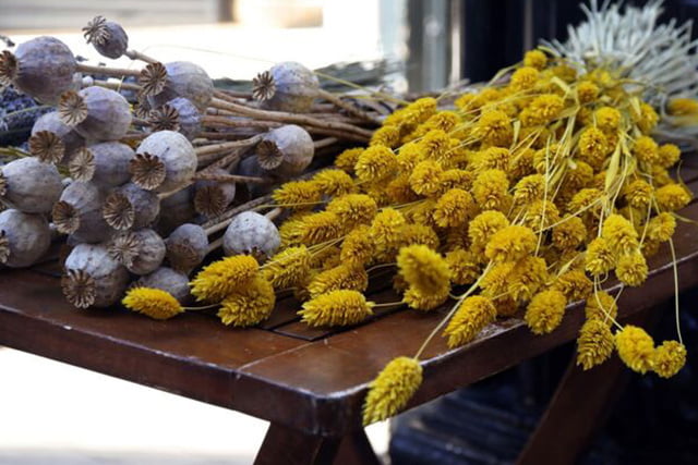Trockenblumen-Ideen